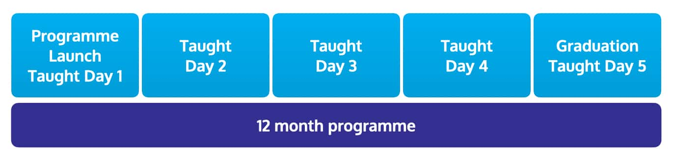 Frontline Leadership Programme Timeline