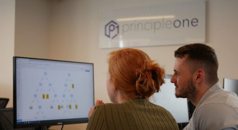 A woman and a man sit at a desk together, looking at a computer screen with a flow-chart displayed. The wall in the backgrounds says 'Principle One'; they are in the offices whilst on their secondment.